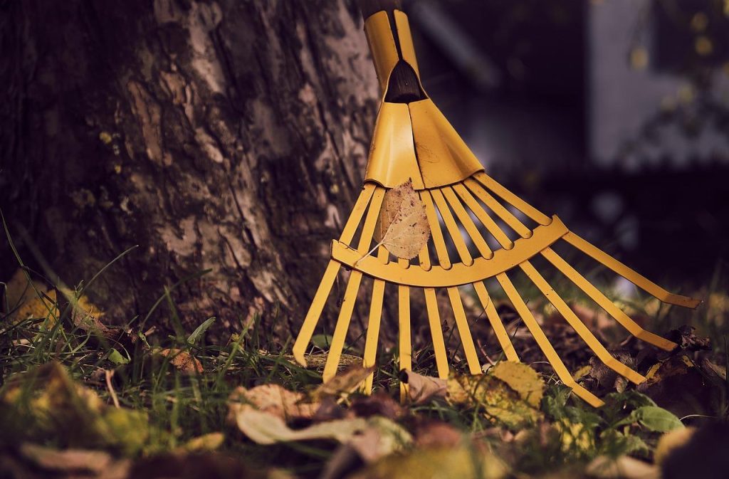 Tips en adviezen over tuinruimer voor effectief tuinonderhoud en plantengezondheid