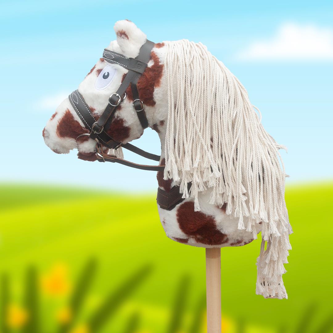 Hobby Horsing, stokpaard informatie